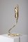 Lámpara de latón dorado de Tommaso Barbi, Imagen 11