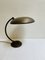 Adjustable Height Picture Brass Lamp, 1920s, Image 7