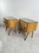 Mid-Century Bedside Tables by Vittorio Dassi, 1959, Set of 2 14