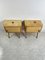 Mid-Century Bedside Tables by Vittorio Dassi, 1959, Set of 2 9