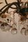 Large Chandelier with Frosted Apples and Pears by Palme & Walter Palwa, 1960s 30