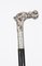 Antique Victorian Silver and Ebonized Walking Stick, 1860 3