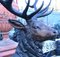 Large Bronze Stag Statue 7