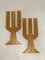 Cactus Model Sculpture from Gavina, 1968, Image 6