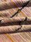 Tappeto moderno berbero marocchino annodato a mano in lana con frange, Immagine 5