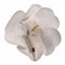 Camellia Corsage White Brooch from Chanel 2