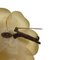 Spilla Camelia in feltro di Chanel, Immagine 9