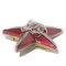 Spilla Star Coco Mark bordeaux in plastica di colore rosso vino CC di Chanel, Immagine 3