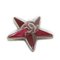 Spilla Star Coco Mark bordeaux in plastica di colore rosso vino CC di Chanel, Immagine 4