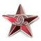 Broche Star Coco Mark de plástico burdeos en rojo vino de resina de Chanel, Imagen 1
