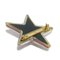 Star Coco Mark Plastic Wine Red CC Resin Bordeaux Brooch from Chanel 6