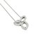 HARRY WINSTON Lily Cluster PT950 Necklace, Image 3