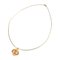 Shane Dancle Isatis Necklace from Hermes 3