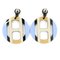 Hermes Earrings H Equipe Buffalo Horn Women's Fashion T4672-S, Set of 2 2