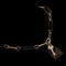 HERMES Amulet Padlock GM Buffalo Horn, collar con colgante de metal para mujer [beige, marrón oscuro, dorado], Imagen 1
