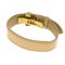 Verni Good Luck Bracelet from Louis Vuitton 2