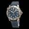 OMEGA Seamaster Professional 300m Date Blue Dial Titanium Men's AT Automatic Watch 2231 80 2231.80 1