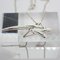 Collar con colgante de estrella fugaz de Tiffany & Co., Imagen 5