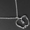 Silver Apple Necklace from Tiffany & Co. 1