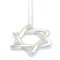 Star of David Necklace from Tiffany & Co. 4