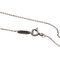 Interlocking Circle Necklace in Silver from Tiffany & Co. 8