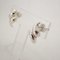 Shell Twist Combination Earrings from Tiffany & Co., Set of 2, Image 4