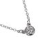 Visor Yard Necklace in Silver with Diamond from Tiffany & Co. 1