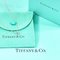 Aquamarine By the Yard Elsa Peretti Necklace in Silver from Tiffany & Co. 2