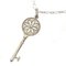 Daisy Key Necklace in Silver from Tiffany & Co. 1