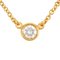 Visthe Yard Necklace in Diamond from Tiffany & Co. 1