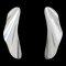Tiffany & Co. Earrings Jewelry Accessories Silver Plated Curve Elsa Peretti High Tide Sv925 Elegant, Set of 2 1