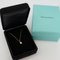 Necklace with Diamond from Tiffany & Co. 10
