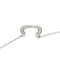 Horseshoe Necklace in Platinum from Tiffany & Co. 6