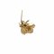 Broche de oro amarillo K18 unisex con motivo de abeja de Tiffany & Co., Imagen 5