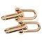 Tiffany&Co. Hardware Extra Large Earrings K18 Pg Pink Gold Approx. 17.6G T121724524, Set of 2 4