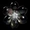 VAN CLEEF & ARPELS Van Cleef Arpels Medium Rose de Noel K18WG White Gold Brooch 1