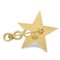 Black Star Brooch Pin from Chanel 2