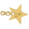 Star Coco Brooch Pin in Black from Chanel 2