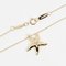 Starfish Necklace from Tiffany & Co 4