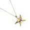 Starfish Necklace from Tiffany & Co 2