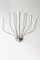Exis Medusa Wall Light in Nickel by Florian Schulz, 1980s 9