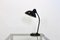 Adjustable Black Steel Table Lamp attributed to Christian Dell for Kaiser Idell, 1930s 7