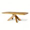 T35D Aban Dining Table in Elm by Pierre Chapo, 1970s 1