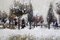 Tatyana Palchuk, Mouettes dans la neige, 1994, Huile sur Toile 7