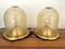 Italian Brass and Gold Bubble Murano Glass Table Lamps attributed to F. Fabbian, 1970s, Set of 2 3