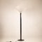 Butterfly Floor Lamp by Afra and Tobia Scarpa for Flos, 1980s 1