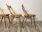 Chairs by Jitona, Set of 4 22