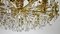 Brass and Crystal Sciolari Chandelier from Palwa, 1960s, Image 3