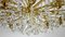 Brass and Crystal Sciolari Chandelier from Palwa, 1960s 7