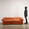 Vintage Sofa in Leather by Afra and Tobia Scarpa for B&b Erasmo Design, 1980s 2